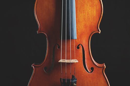Geige von Tomas Pospichal